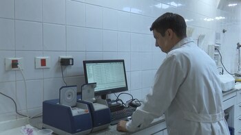 El Estado y los distintos