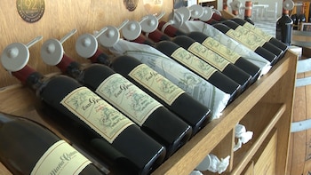 De las 884 bodegas existentes