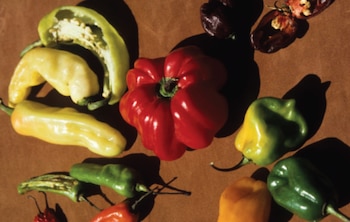 (Foto: Comisión Nacional para el