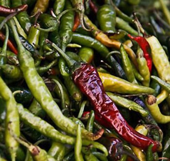 (Foto: Comisión Nacional para el