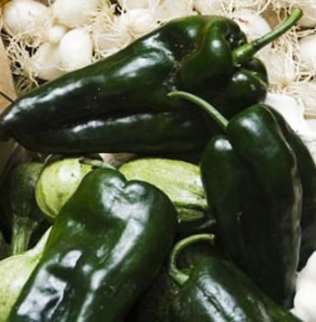 (Foto: Comisión Nacional para el