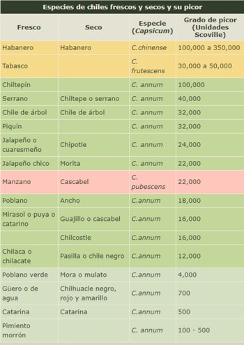 (Foto: Comisión Nacional para el