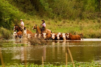 El último censo agropecuario se