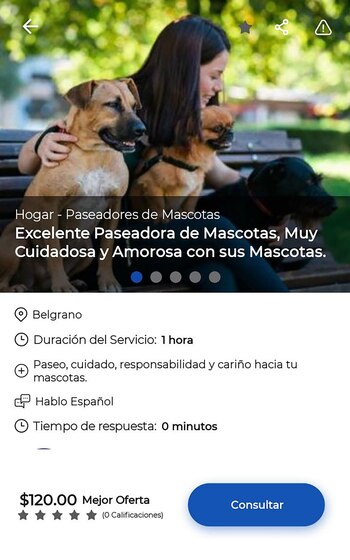 Paseadores de perros, uno de