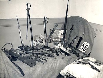 Las armas incautadas a los