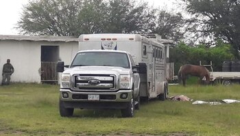 Durante un evento de equitación,