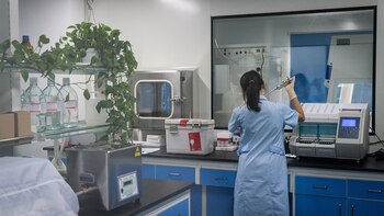 Una investigadora en el laboratorio de Sinogene. La compañía estaba motivada por la investigación de mercado que mostró que los gatos cobraban popularidad en China (Yan Cong para The New York Times)
