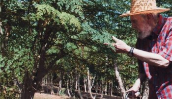 Fidel Castro con las moringas que