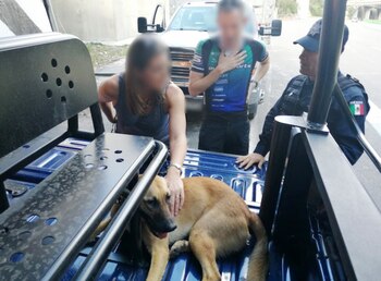 La embajadora de Reino Unido en México acudió al lugar para rescatar a su perro (Foto: SSPC)