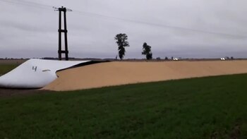 La rotura de silobolsas en campos de Lobos y Chivilcoy puso en estado de alerta al ruralismo y a los productores bonaerenses