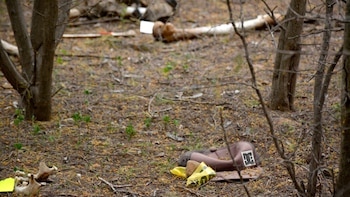 Las labores en la fosa