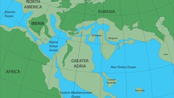 Hace 240 millones de años