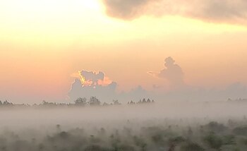 La fotografía, captada por Matt