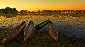 Botsuana tiene muchos parques nacionales y campamentos de safari para viajeros, pero la atracción principal del país es definitivamente el exuberante Delta del Okavango