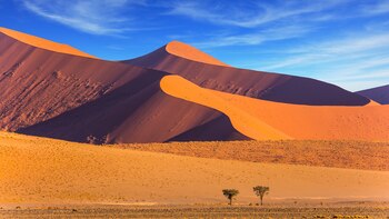 Cuando se trata de pura belleza natural, pocos países de África se acercan a Namibia. El desierto de Namib es la estrella del país, aunque pocos lugares del sur de África pueden competir con la fauna del extraordinario Etosha National Park, uno de los más grandes del mundo, con una extensión de 22.270 km²