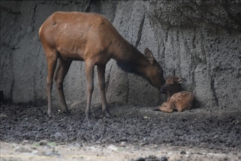 (Foto: Cortesía Secretaría del Medio