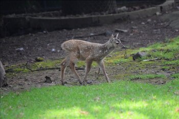 (Foto: Cortesía Secretaría del Medio
