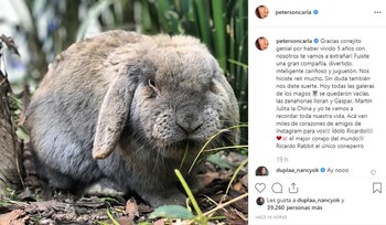 Una de las fotos que