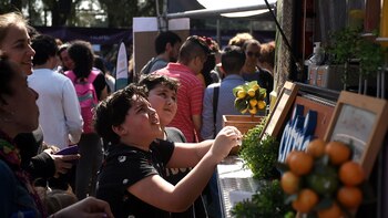 Niños, adultos, personas mayores, turistas,