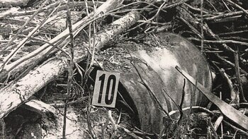 Tambor de combustible donde se