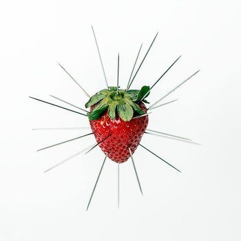 Frutilla fumigada intervenida con agujas