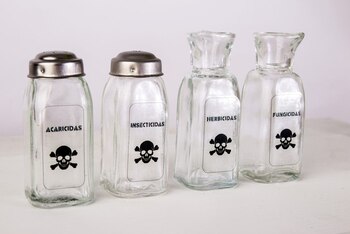 Especieros intervenidos con iconografía por