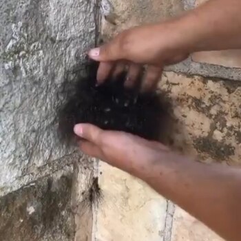 Cualquier espectador podría pensar que