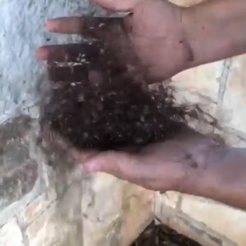 Cualquier espectador podría pensar que