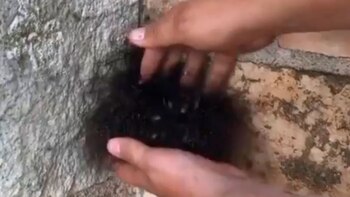 Cualquier espectador podría pensar que