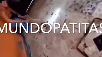 La policía ya busca al