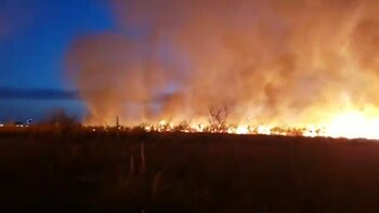 La llamas se originaron en