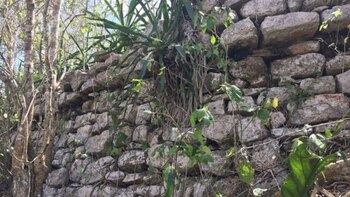 Detalle de una sección de