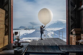 (Esther Horvath/The New York Times)