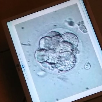 Las primeras imágenes de Santino,