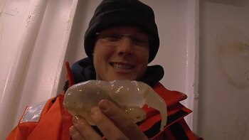 Foto: Impresión de pantalla Youtube