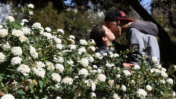 No solo las familias y