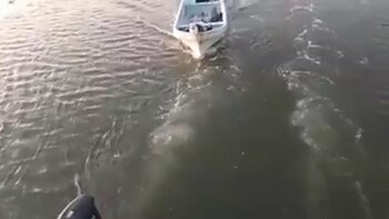 Los turistas vivieron momentos de