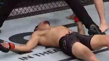 Así quedó Bravo tras el