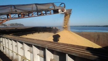 China habilitó siete plantas de